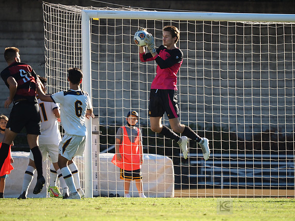 Chris Gustini (1)
