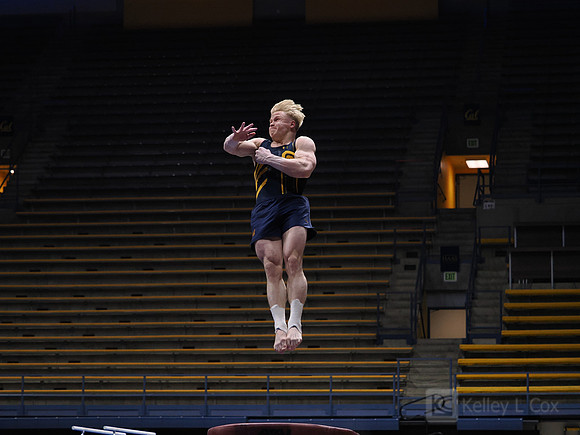 Men’s Gymnastics: California Golden Bears vs Stanford Cardinal