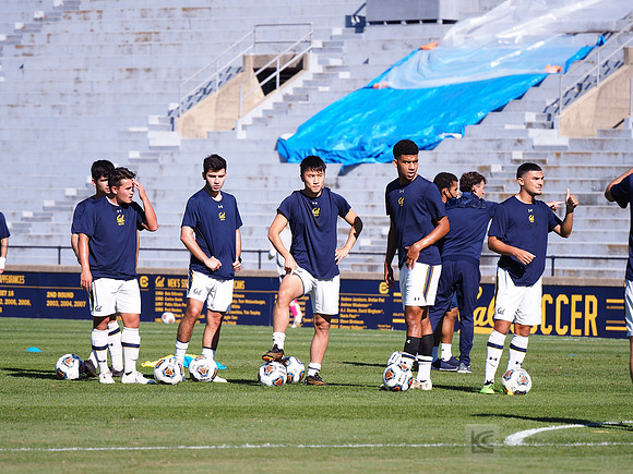 Team