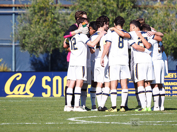 Team