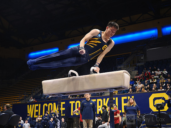 Men’s Gymnastics: California Golden Bears vs Stanford Cardinal