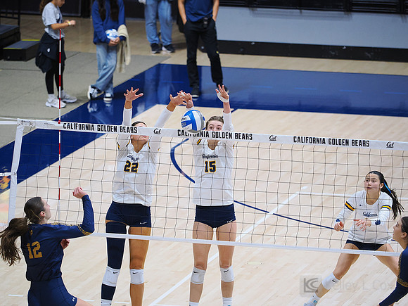 Volleyball: California Golden Bears vs Notre Dame Fighting Irish