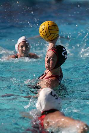 CSUEB v Alumni