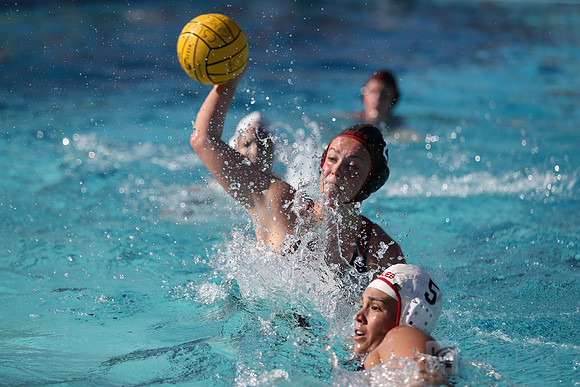 CSUEB v Alumni