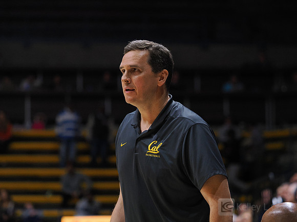 Mark Madsen