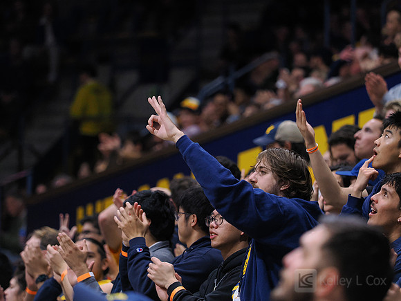 Fans