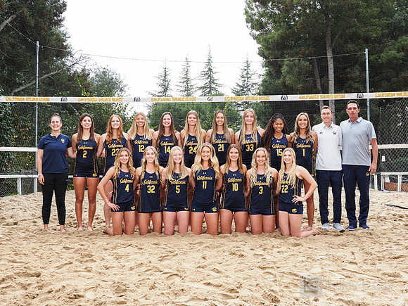 Team