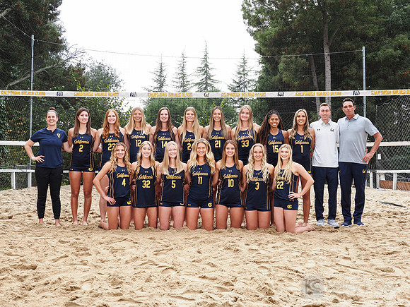 Team
