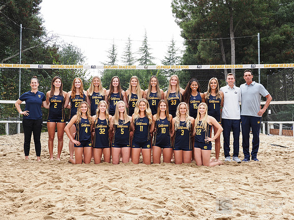 Team