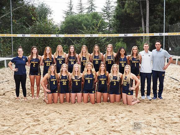 Team