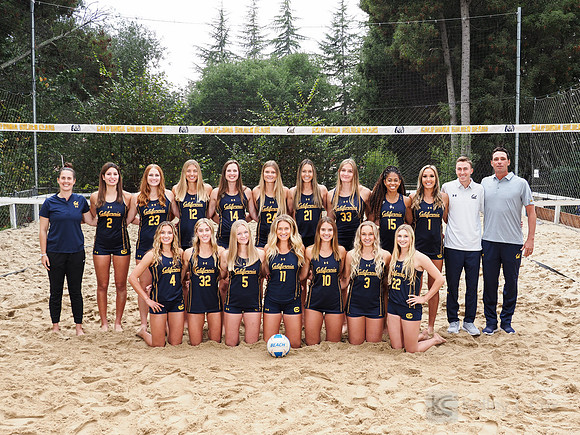 Team