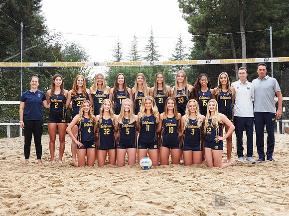 Team