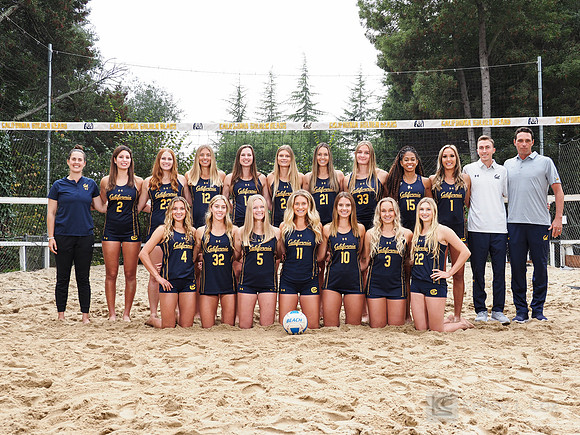 Team
