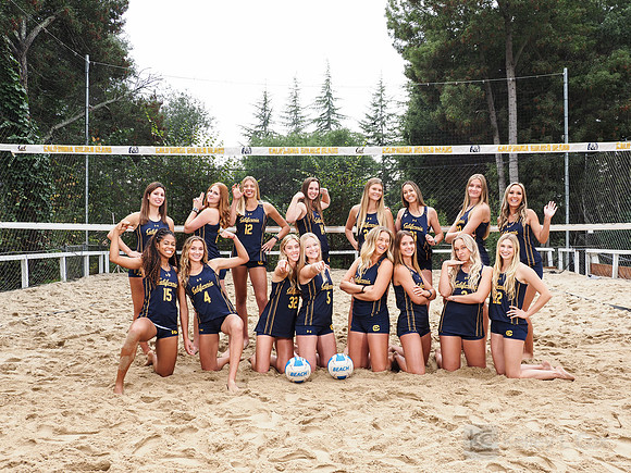Team