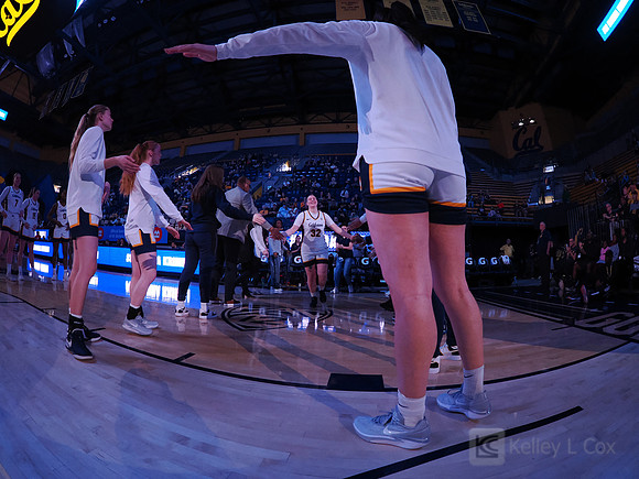 Womens Basketball: California Golden Bears vs Arizona Wildcats