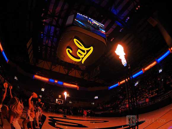 Womens Basketball: California Golden Bears vs Arizona Wildcats
