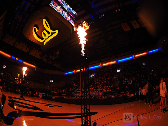 Womens Basketball: California Golden Bears vs Arizona Wildcats