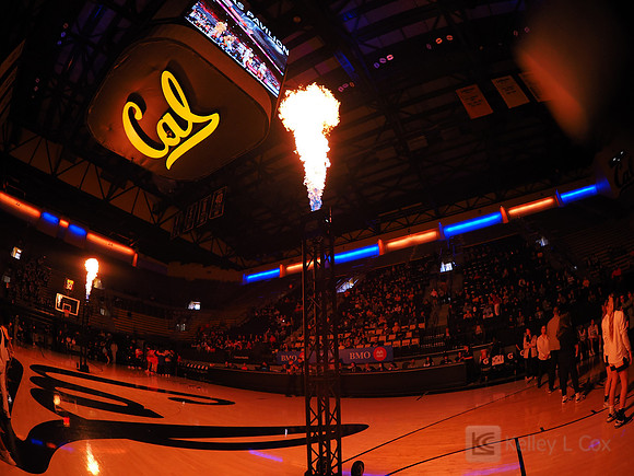 Womens Basketball: California Golden Bears vs Arizona Wildcats