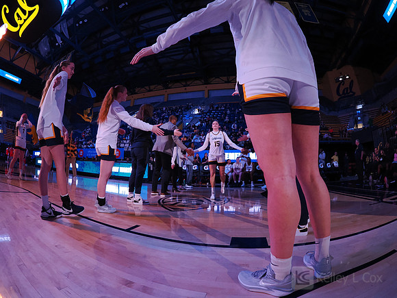 Womens Basketball: California Golden Bears vs Arizona Wildcats
