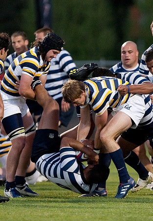 Cal Rugby vs BYU