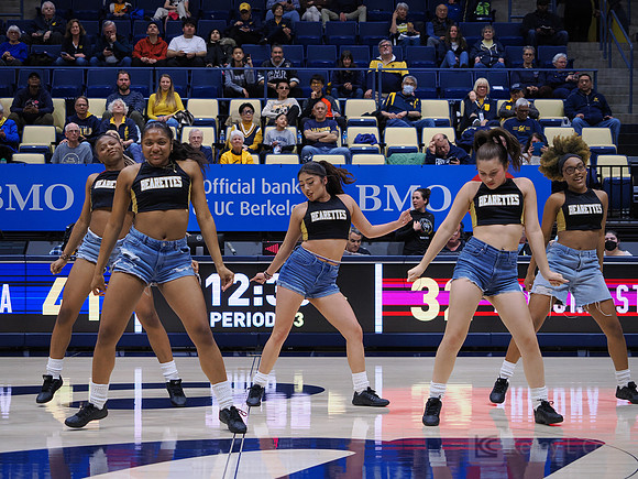 Bearettes