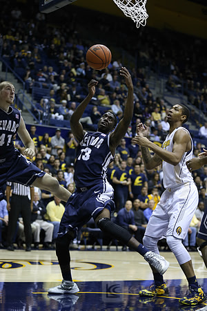 NCAA Basketball: Nevada at California