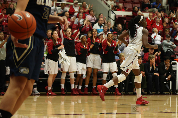 NCAA Womens Basketball: UC Davis at Stanford