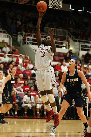 NCAA Womens Basketball: UC Davis at Stanford