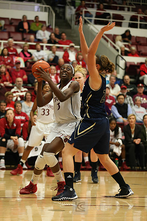 NCAA Womens Basketball: UC Davis at Stanford