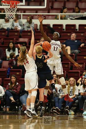 NCAA Womens Basketball: UC Davis at Stanford