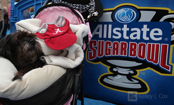 NCAA Football: Allstate Sugar Bowl Classic - Alabama Crimson Tide v Oklahoma Sooners - Fan Fest