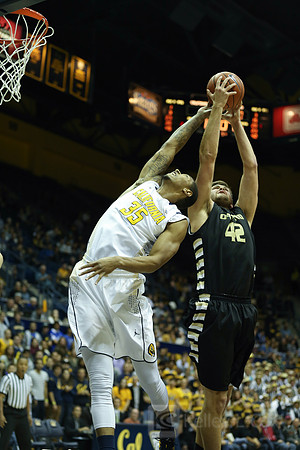 NCAA Basketball: Oakland at California