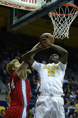 NCAA Basketball: Southern Utah at California