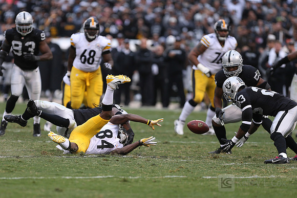 NFL: Pittsburgh Steelers at Oakland Raiders