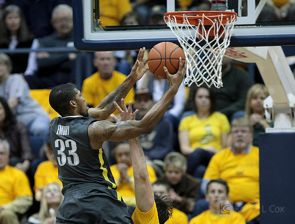 CAA Basketball: Oregon at California