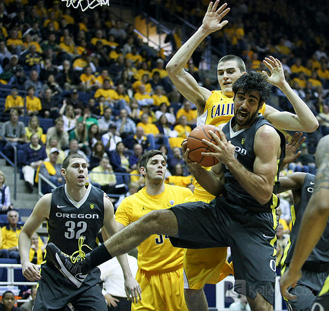 CAA Basketball: Oregon at California