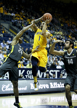 CAA Basketball: Oregon at California