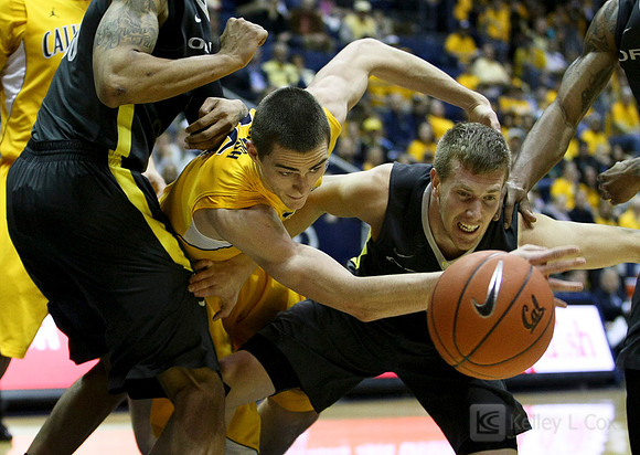 CAA Basketball: Oregon at California