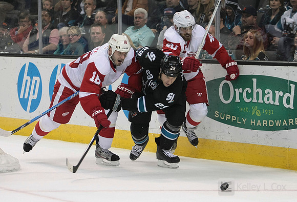 NHL: Detroit Red Wings at San Jose Sharks