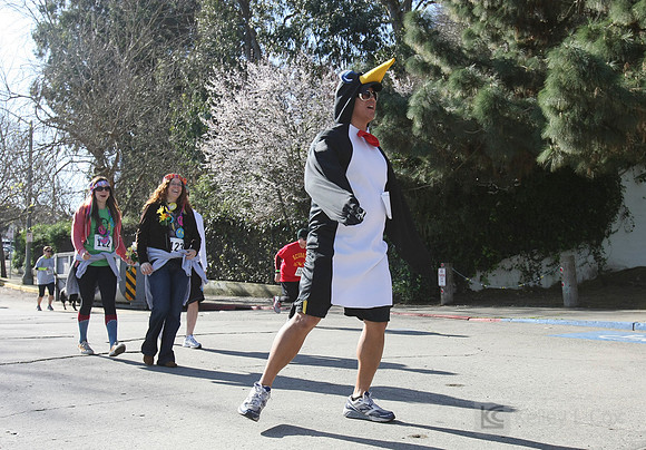 SONC Polar Plunge