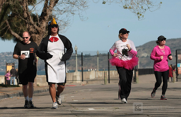 SONC Polar Plunge
