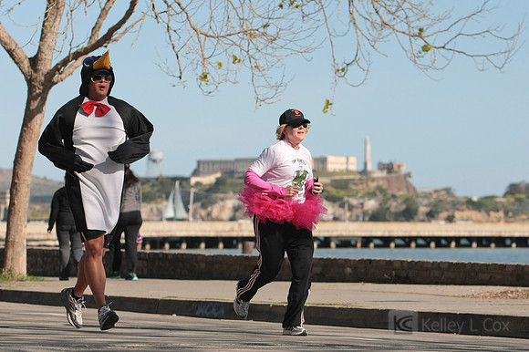 SONC Polar Plunge