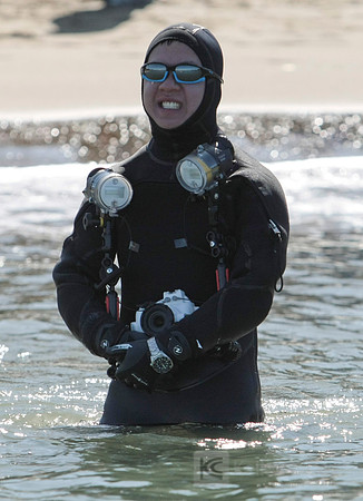 SONC Polar Plunge