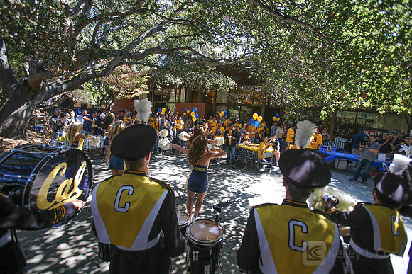 CAA: Alumni Tailgate