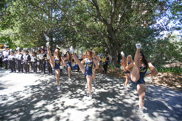 CAA: Alumni Tailgate