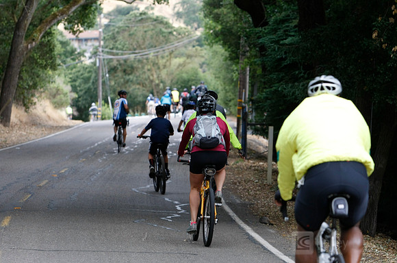 SONC Bike the Bridges