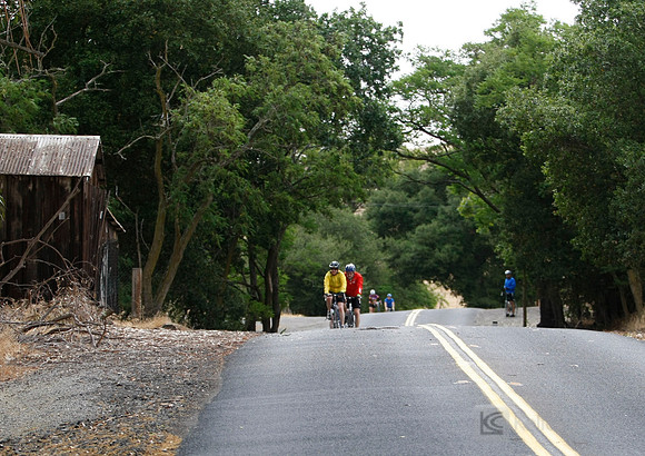 SONC Bike the Bridges