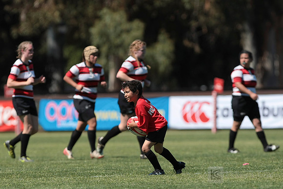 W College Rugby: Stanford vs Chico State