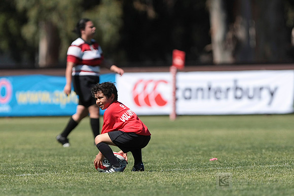 W College Rugby: Stanford vs Chico State