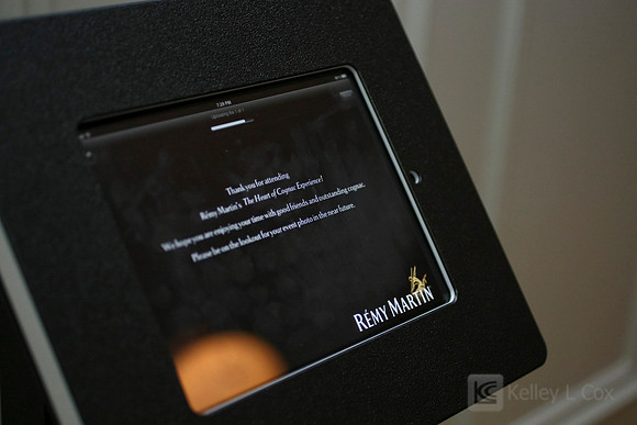 Remy Martin